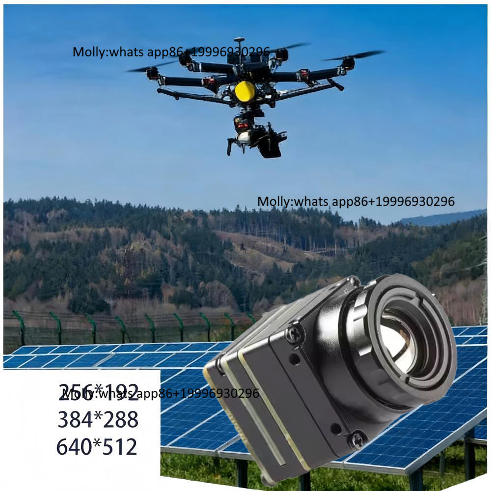 ミニFPVサーマルカメラモジュール、CVBS/Type-C対 - Thermal Camera Type C 384X288 のレビューと価格